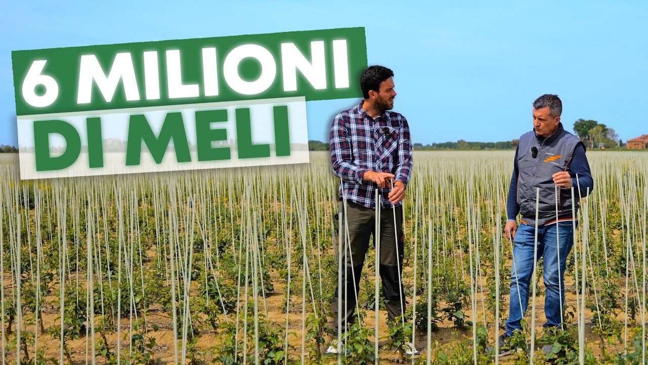 Il più GRANDE vivaio D'EUROPA