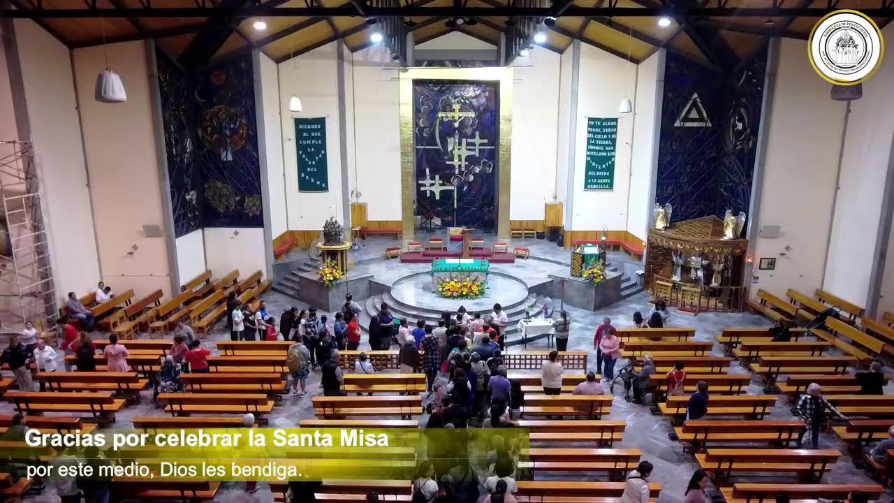 Domingo VI del Tiempo Ordinario, y recepción de Reliquias: San José Sánchez  y Carlo Acutis.