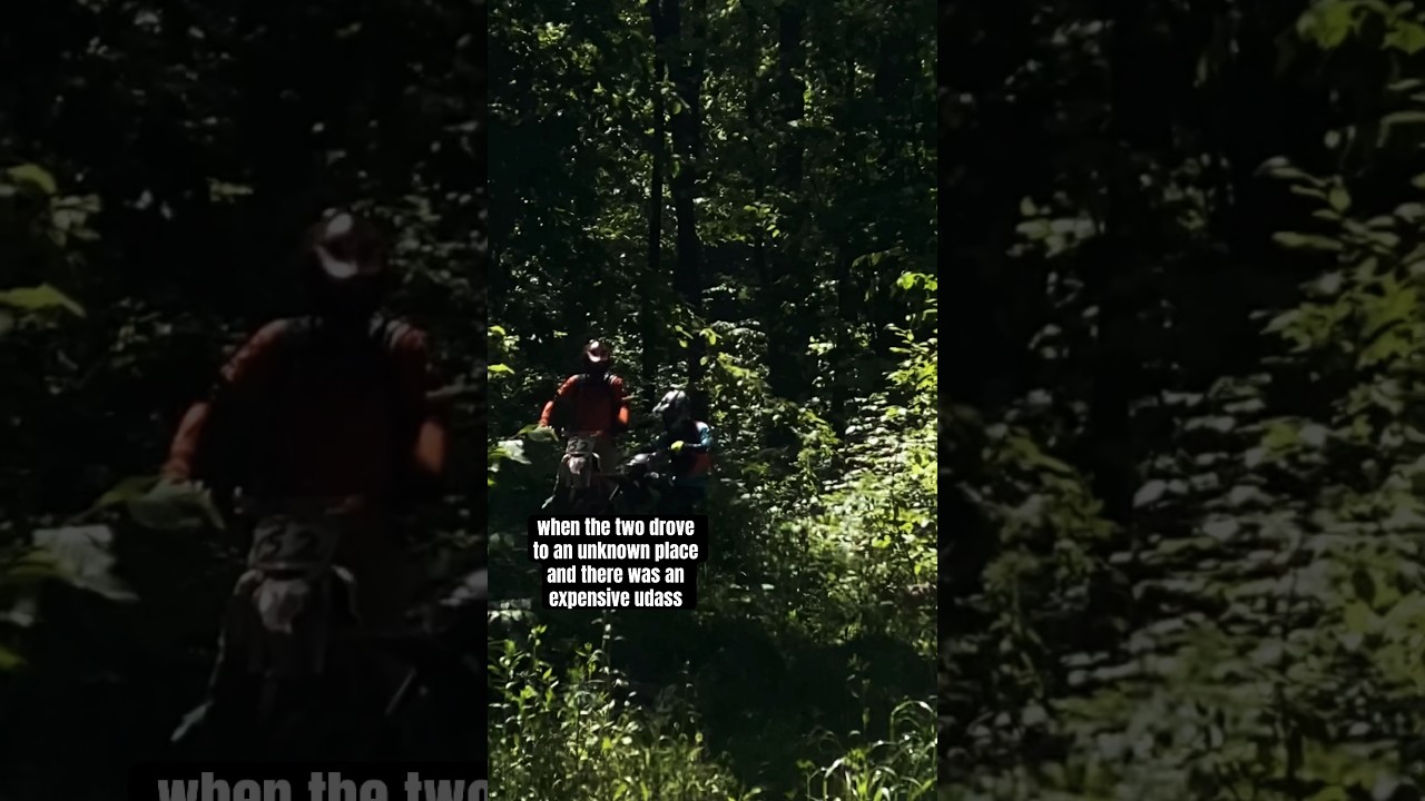 Forest Odyssey: Lost in the Green Sea
