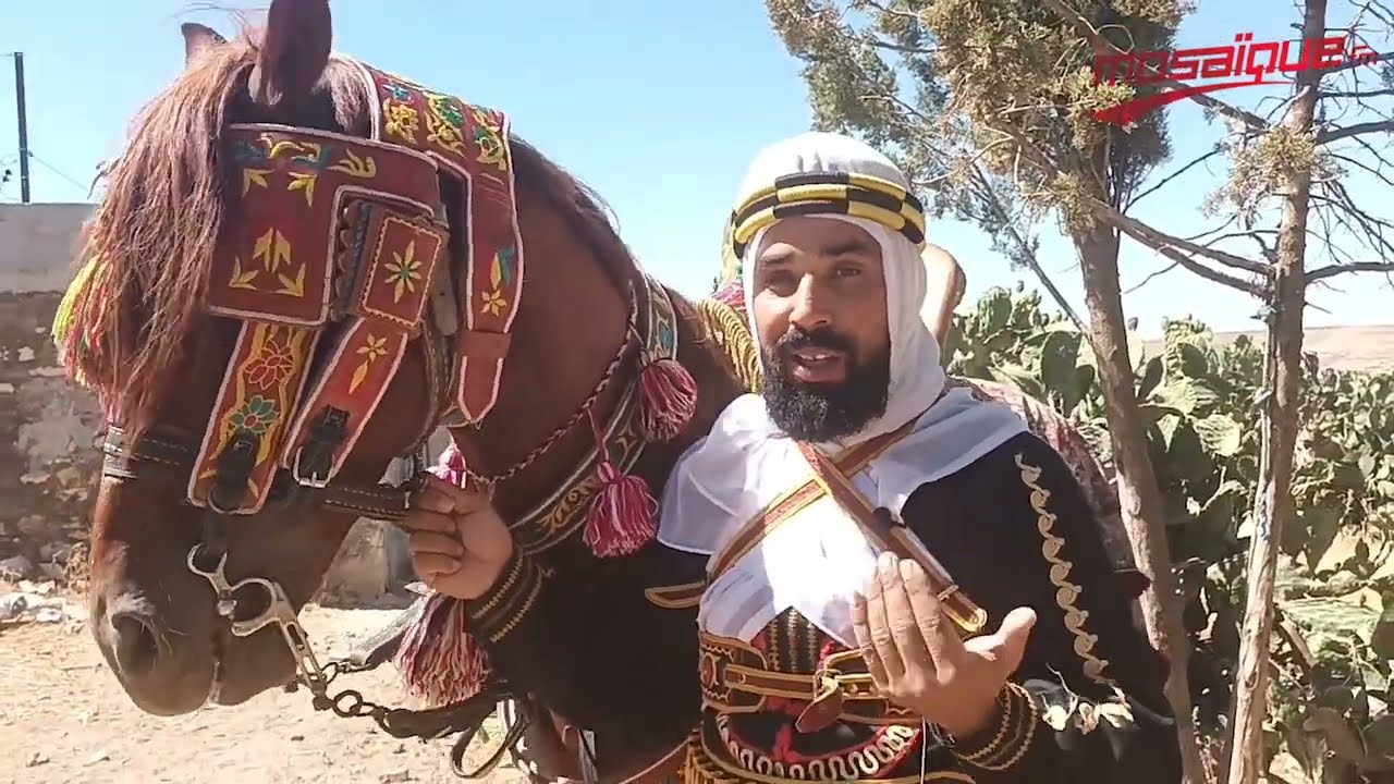 مكثر: فروسية اولاد عيار هواية توارثها الأحفاد عن الأجداد