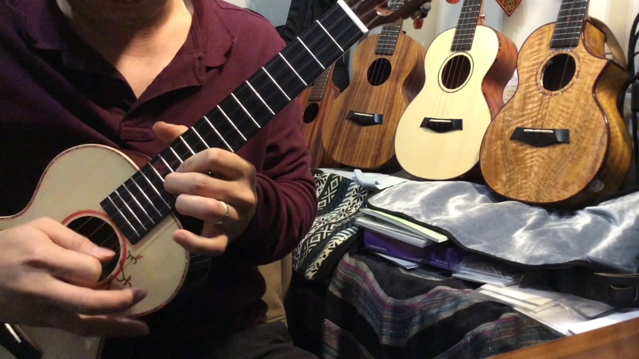 菊花台 烏克麗麗獨奏  enya ukulele  EUT-S1