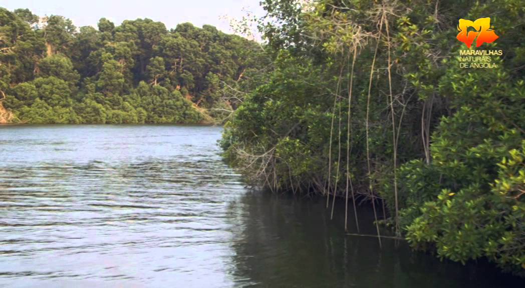 Rio Kwanza