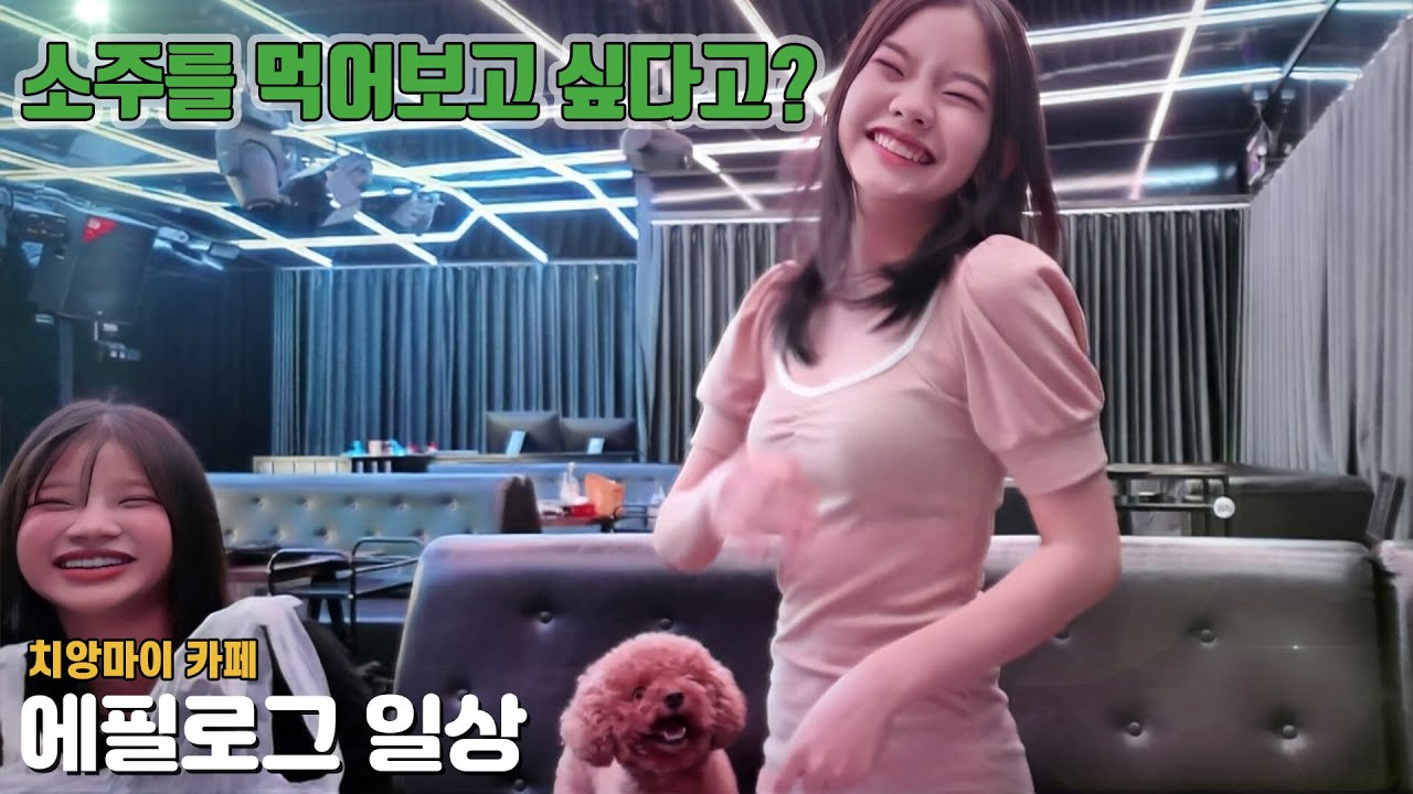 그렇다면 한국의 맛을 보여준다