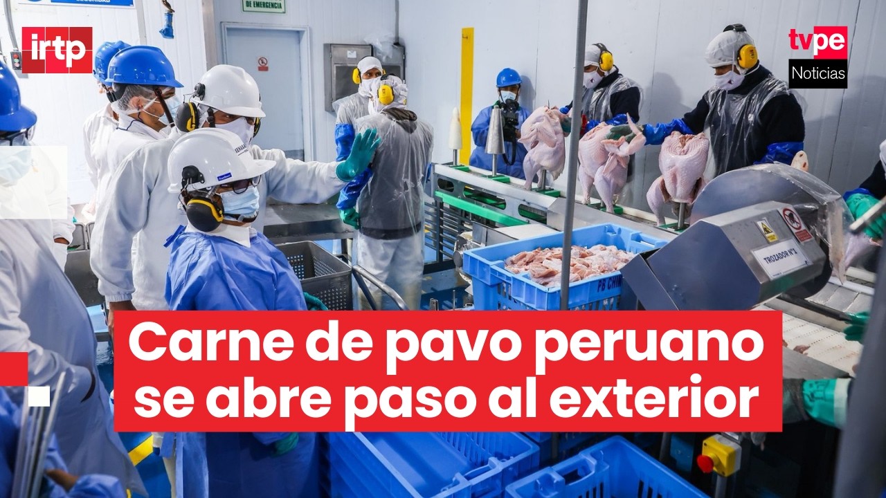 Producción avícola peruana se consolida con primer envío de carne de pavo a Panamá