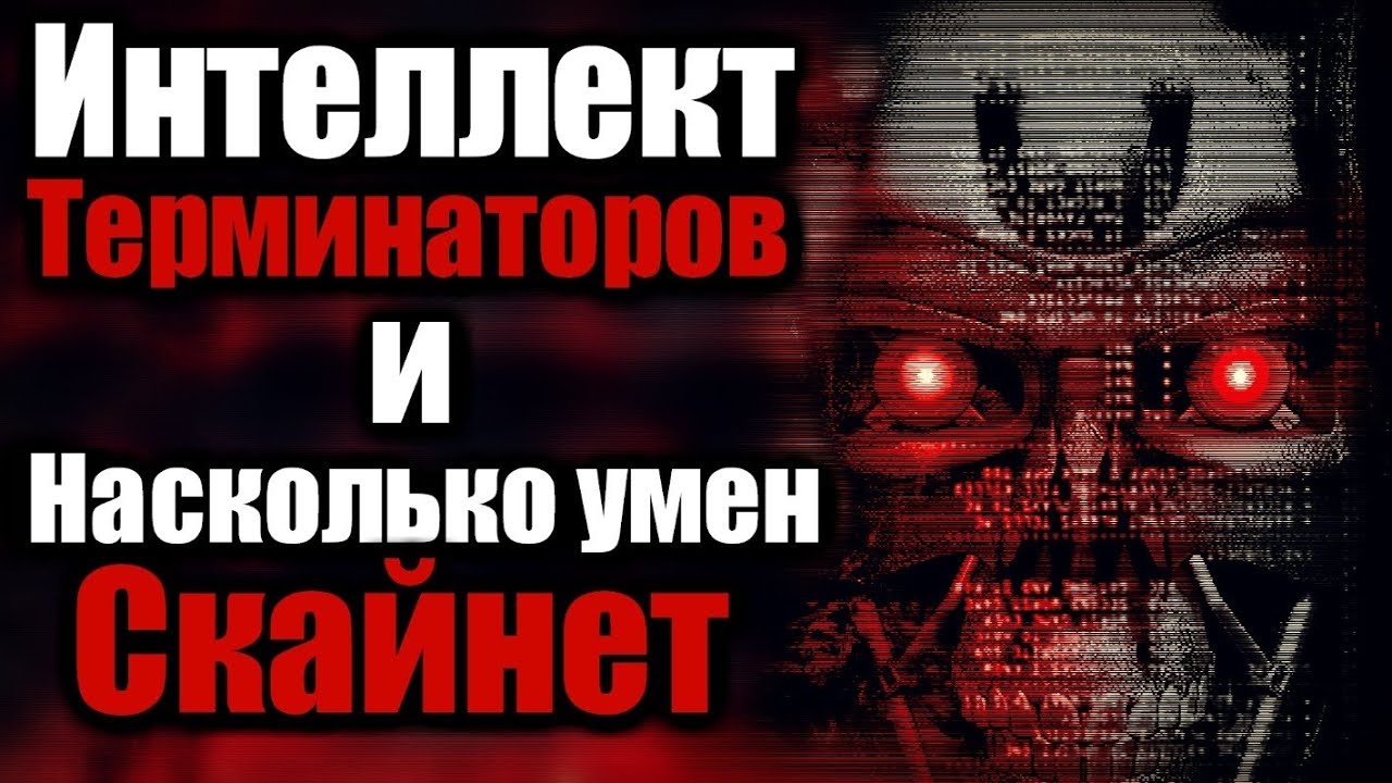 ИНТЕЛЛЕКТ ТЕРМИНАТОРОВ | НАСКОЛЬКО УМЁН СКАЙНЕТ