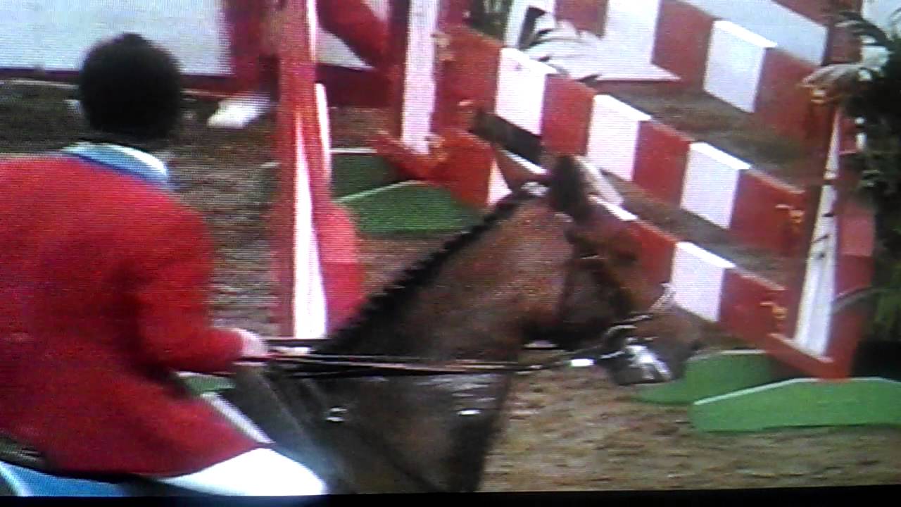 Harvey Smith Sanyo Technology Hoys