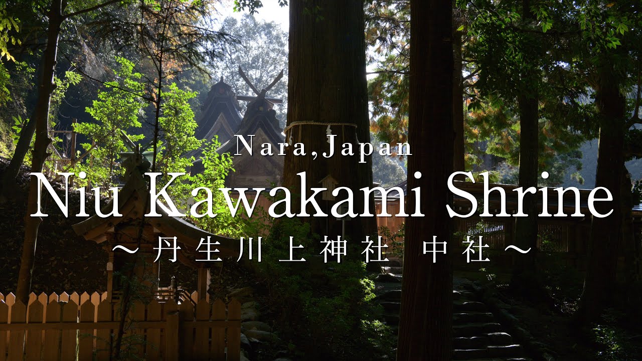 【奈良の絶景】丹生川上神社中社の紅葉と清流：Niu Kawakami Shrine at Higashi Yoshino Village in Autumn