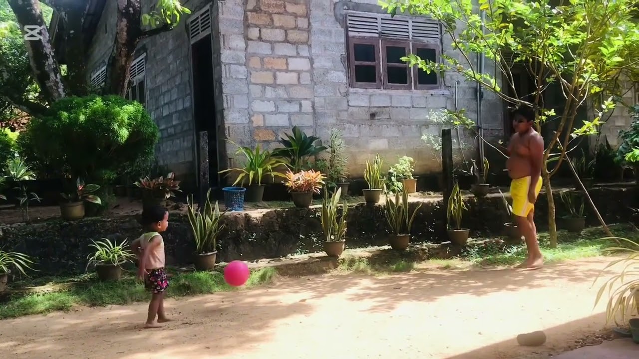 අයියා එක්ක බෝල සෙල්ලම් කරන්න ගිහින් මල්ලිට වෙන දේ බලන්න | Playing a boll with brother | #sinhala 