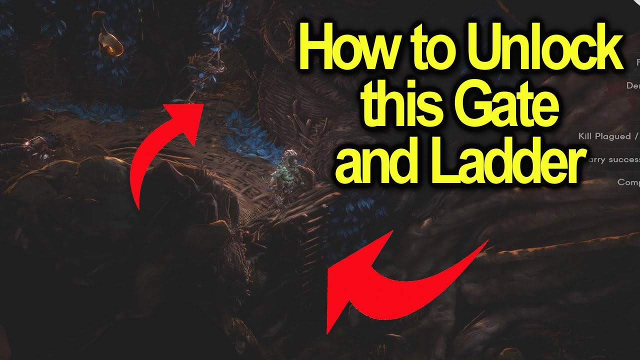 Как открыть эти ворота и лестницу в лесу Марин | Рядом с большими статуями | NRFTW