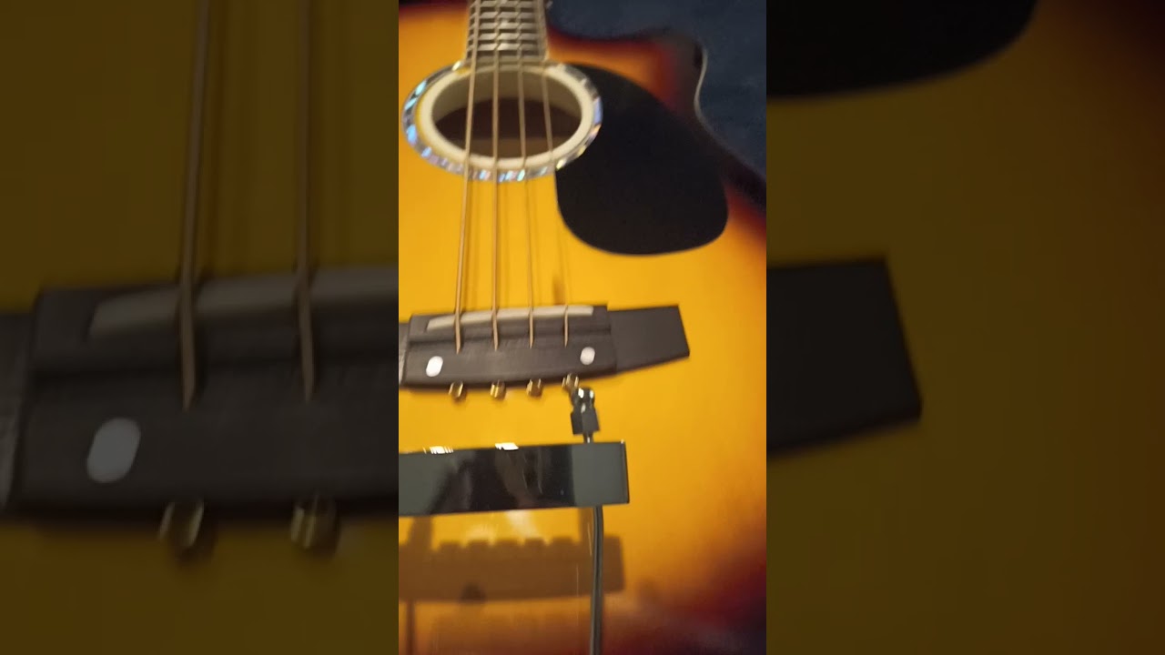 Modding Acoustic Bass into 8 String