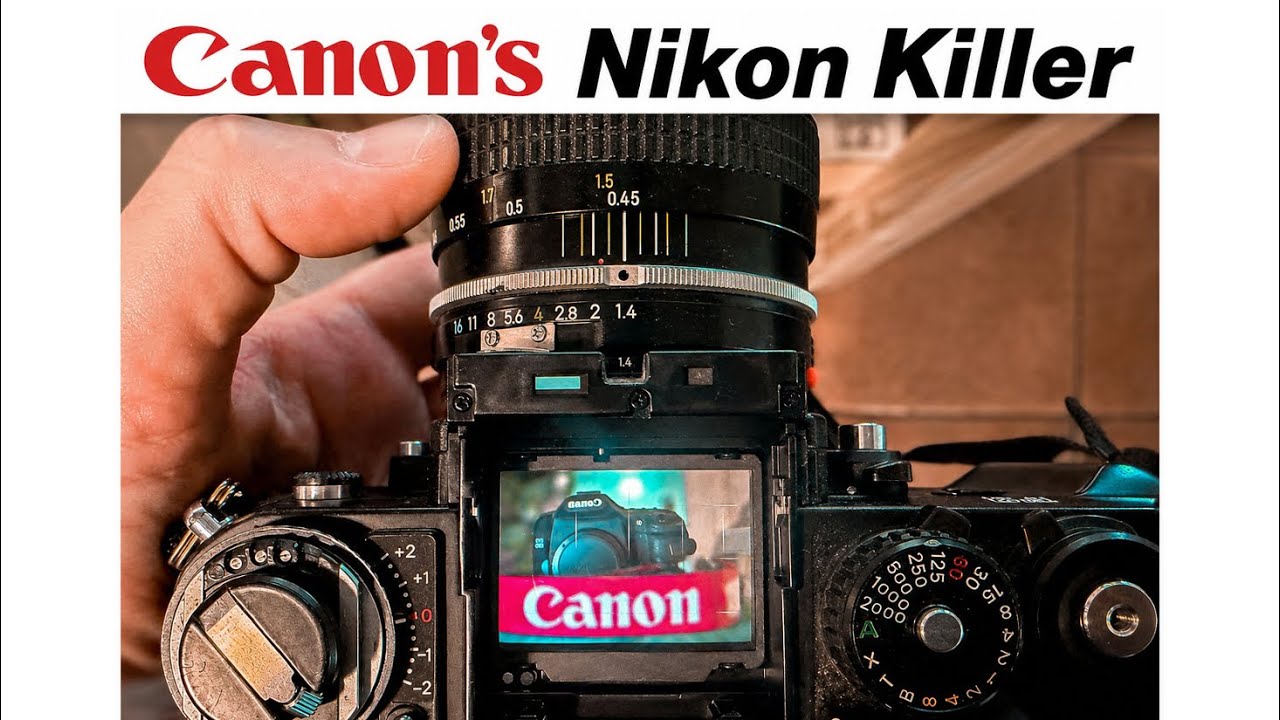 Самая недооцененная зеркалка Canon? Canon 50D