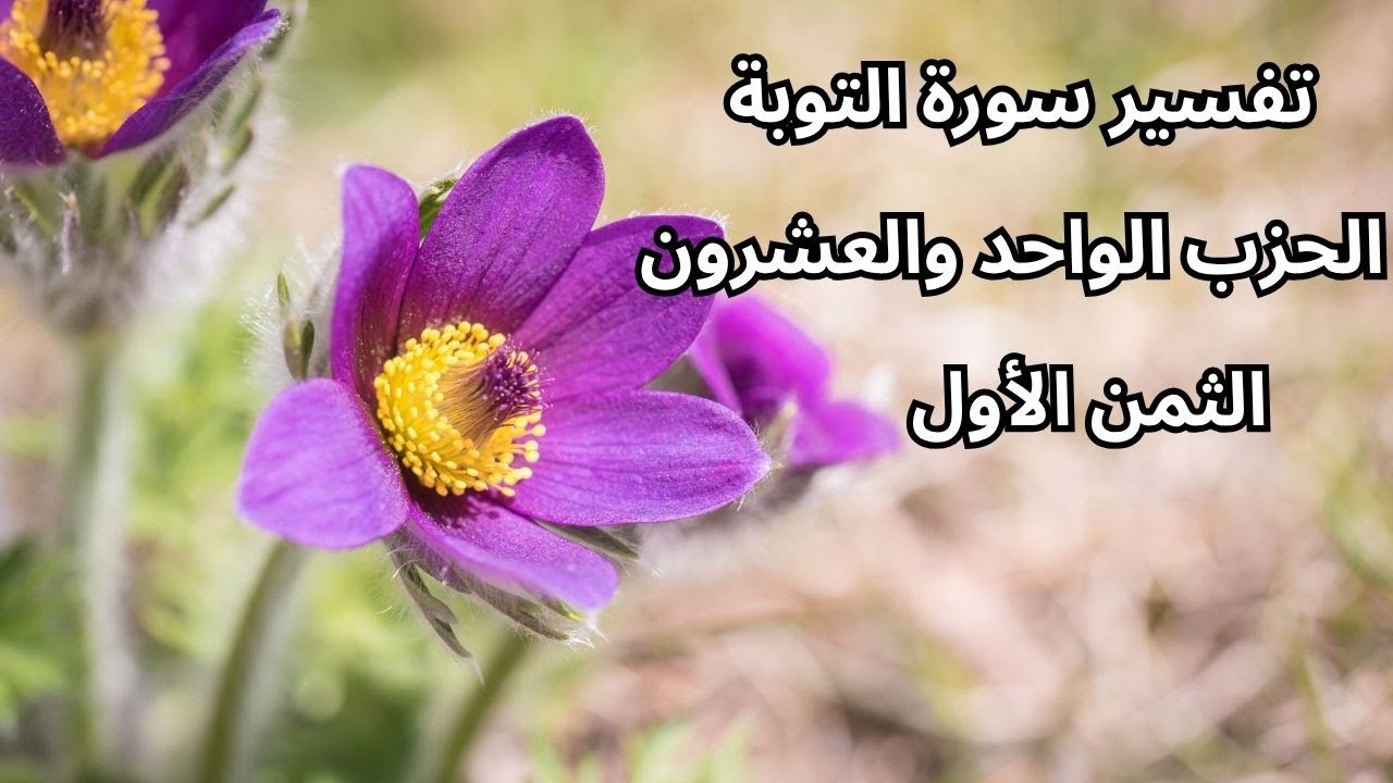 تفسير سورة التوبة: الحزب الواحد والعشرون، الثمن الأول