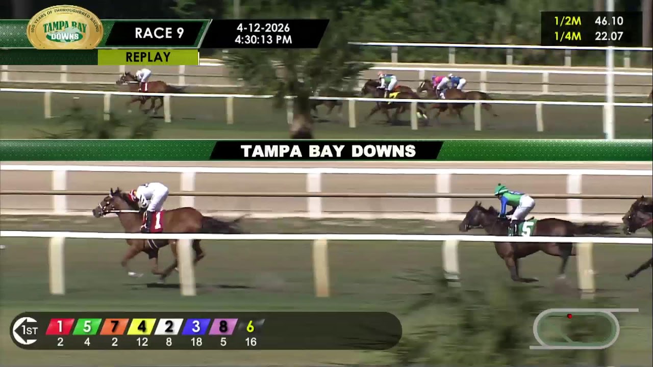 Tampa Bay Downs Live Stream