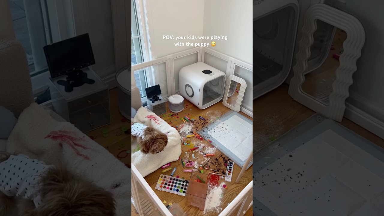 clean my puppy’s apartment with me asmr 