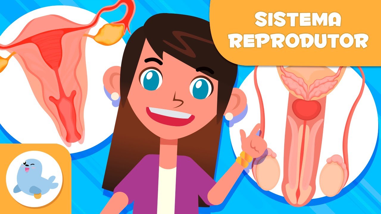 SISTEMA REPRODUTOR FEMININO e MASCULINO 👧👦 Ci&ecirc;ncias para crian&ccedil;as