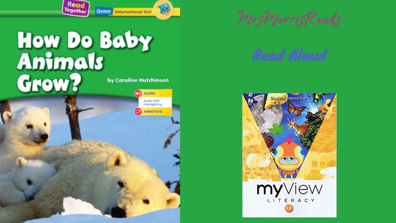 КАК РАСТУТ ДЕТЁНЁНКИ ЖИВОТНЫХ? MyView Literacy, первый класс, модуль 2, неделя 3, чтение вслух