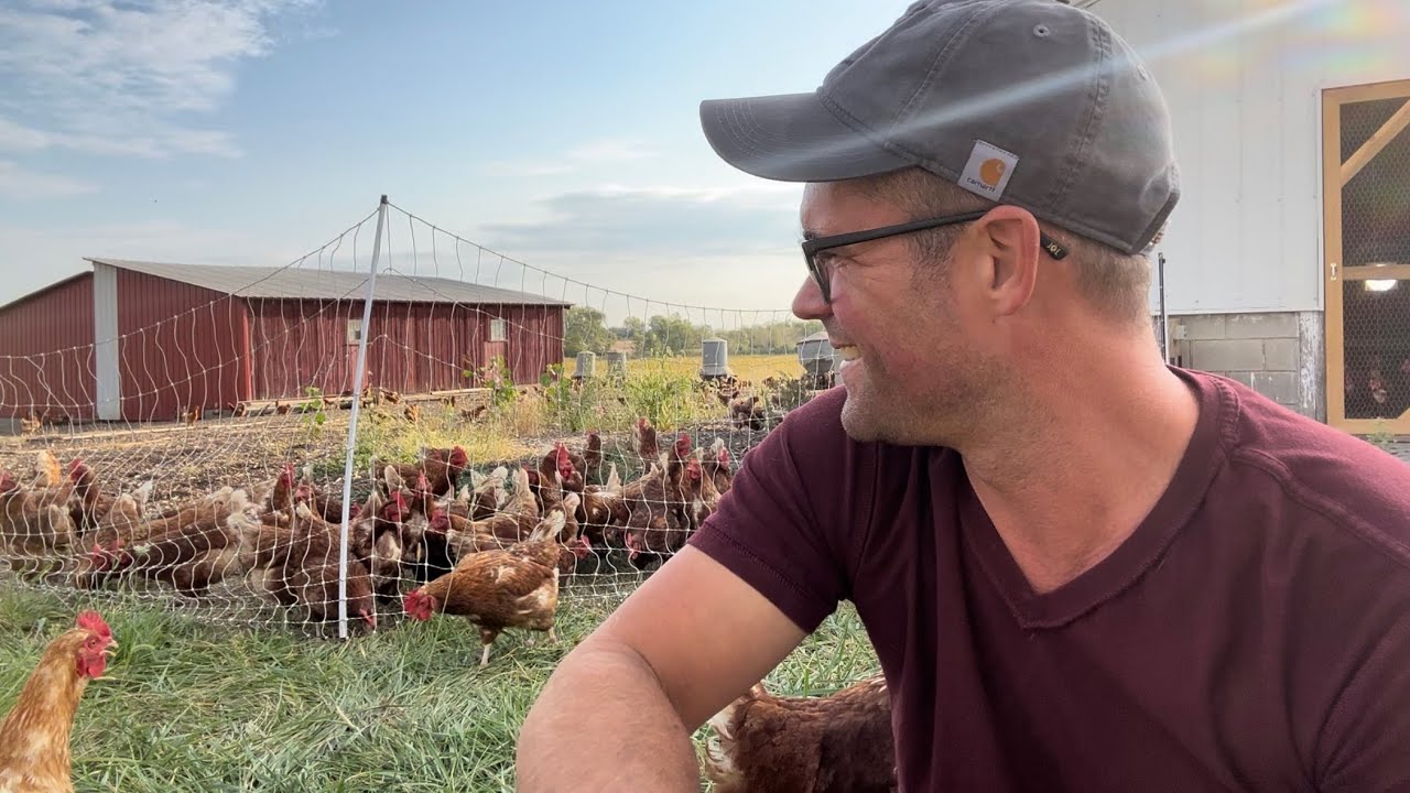 How we feed 2,500 Hens