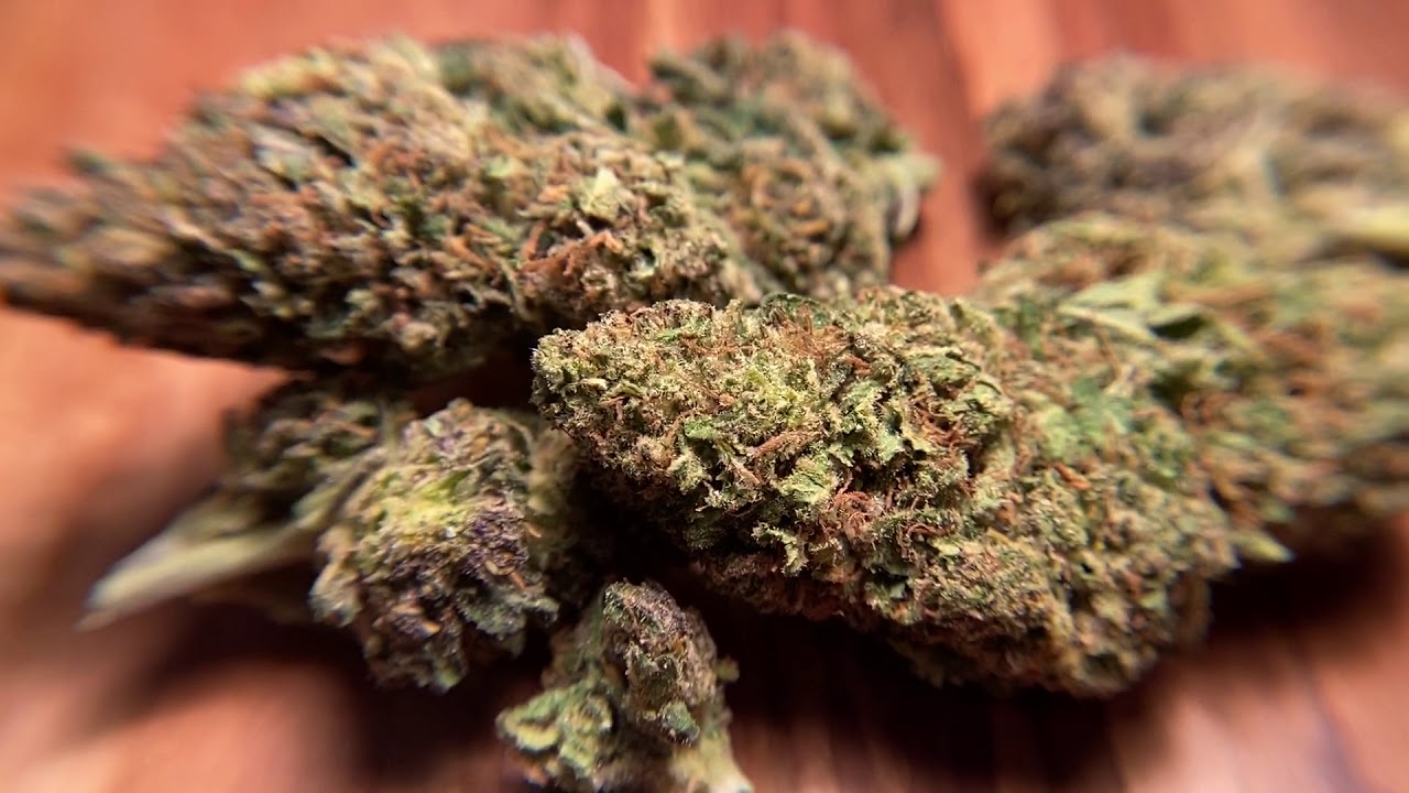 Suver Haze CBD Flower - BackWoodz CBD