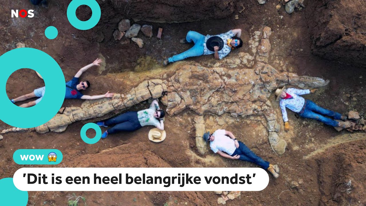 Reusachtige zee-dino gevonden in een woestijn