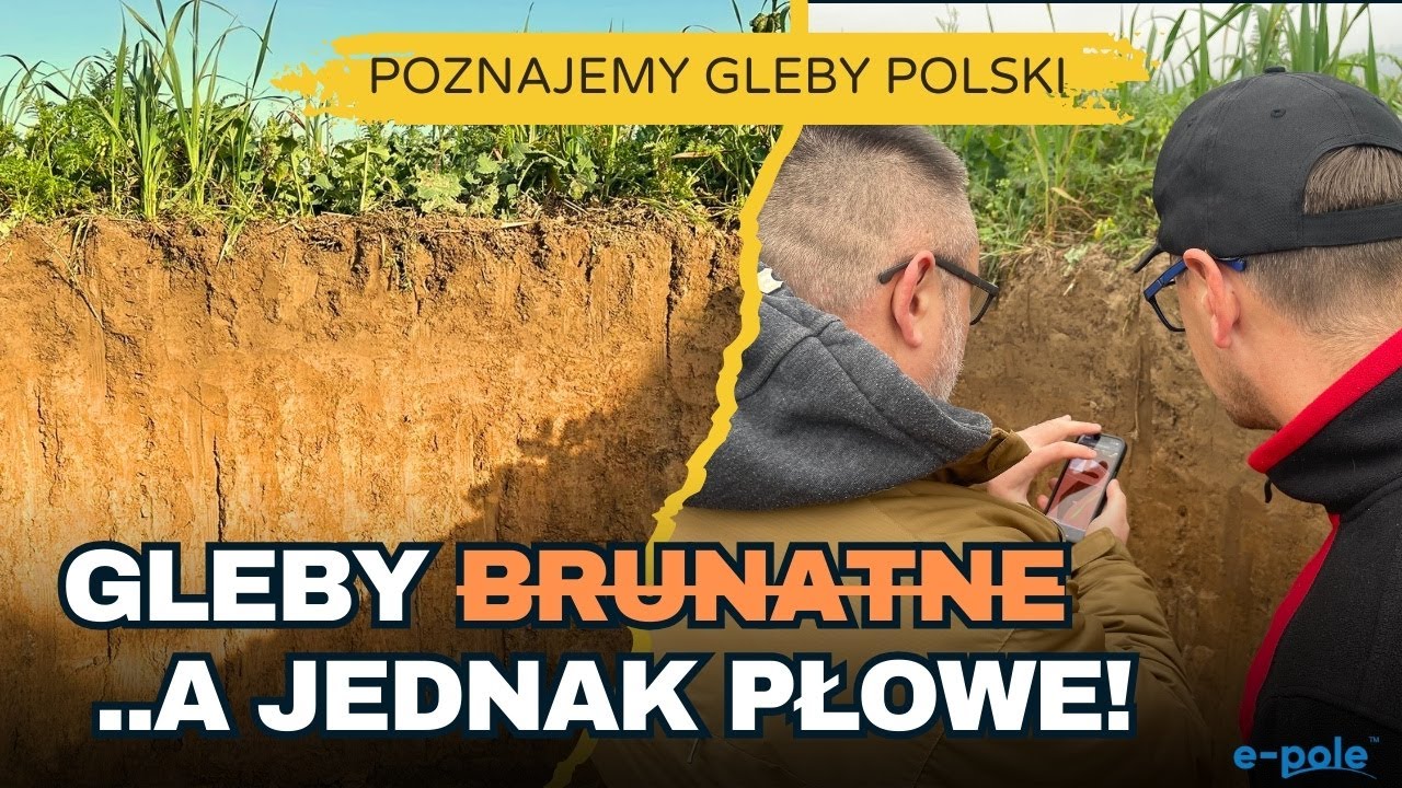 Miały być -brunatne-, a jednak to gleby płowe! Poznajemy gleby Polski | e-pole