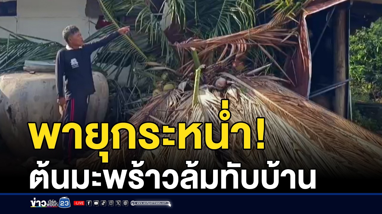 พายุกระหน่ำ ซัดต้นมะพร้าวล้มทับบ้านหวิดดับ | ชงข่าวเขย่าจอ | 19 มีนาคม 2569