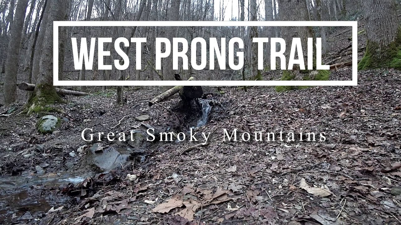 West Prong Trail and Bote Mountain Trail Great Smoky Mountains
