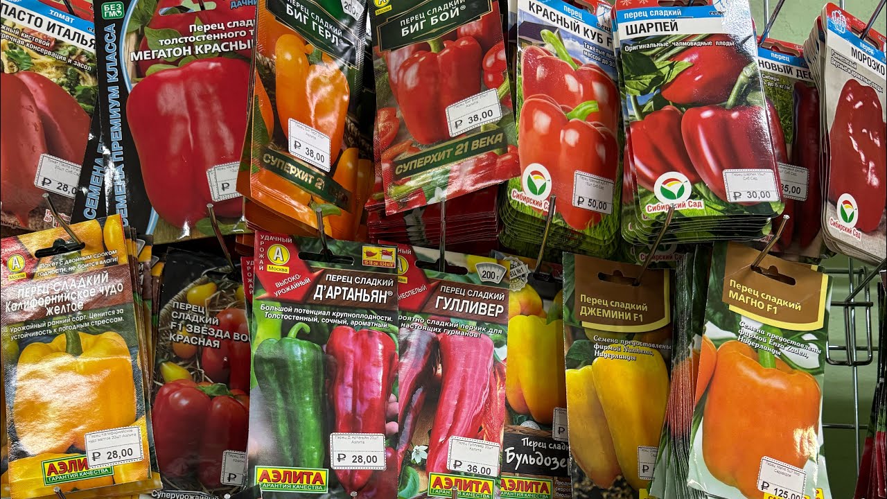 Обзор сладкого перца , сортов семян сладкого 🫑🫑🌶️🌶️🌶️огромное количество приходите выбирайте . 