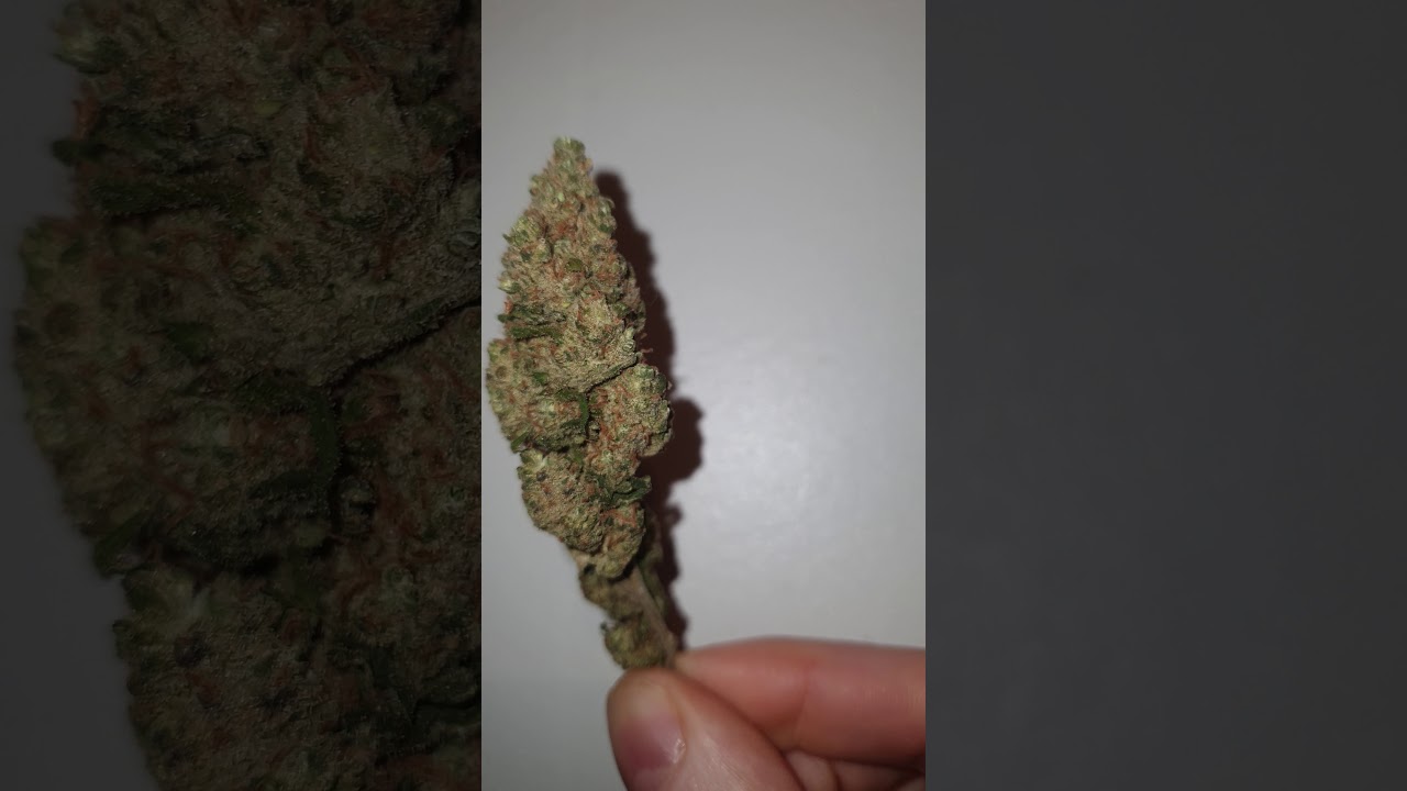 Just Bob - Gorilla Glue CBD Flower