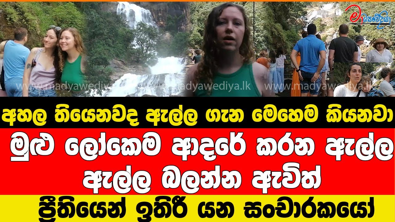 අහල තියෙනවද ඇල්ල ගැන මෙහෙම කියනවා මුළු ලෝකෙම ආදරේ කරන ඇල්ල බලන්න ඇවිත් ප්‍රීතියෙන් ඉතිරී යන සංචාරකයෝ
