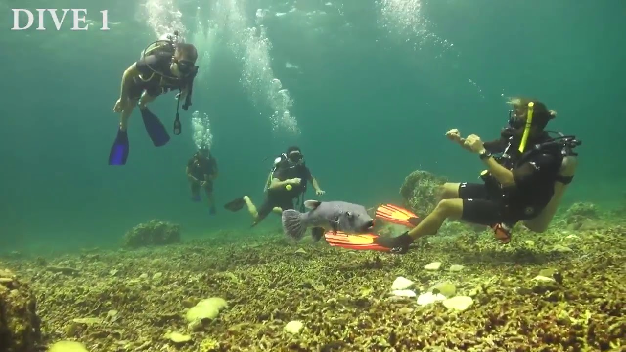Plonger ALL4diving 4K