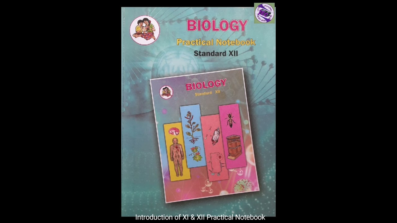 An Introduction of XI & XII Practical Notebook