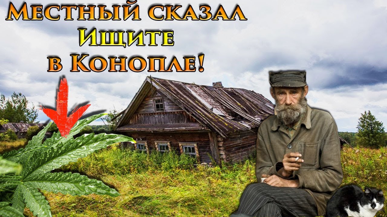 Вот Так Находки-Скрывала Конопля!!!-Нашел интересные находки-коп монет в Сибири.