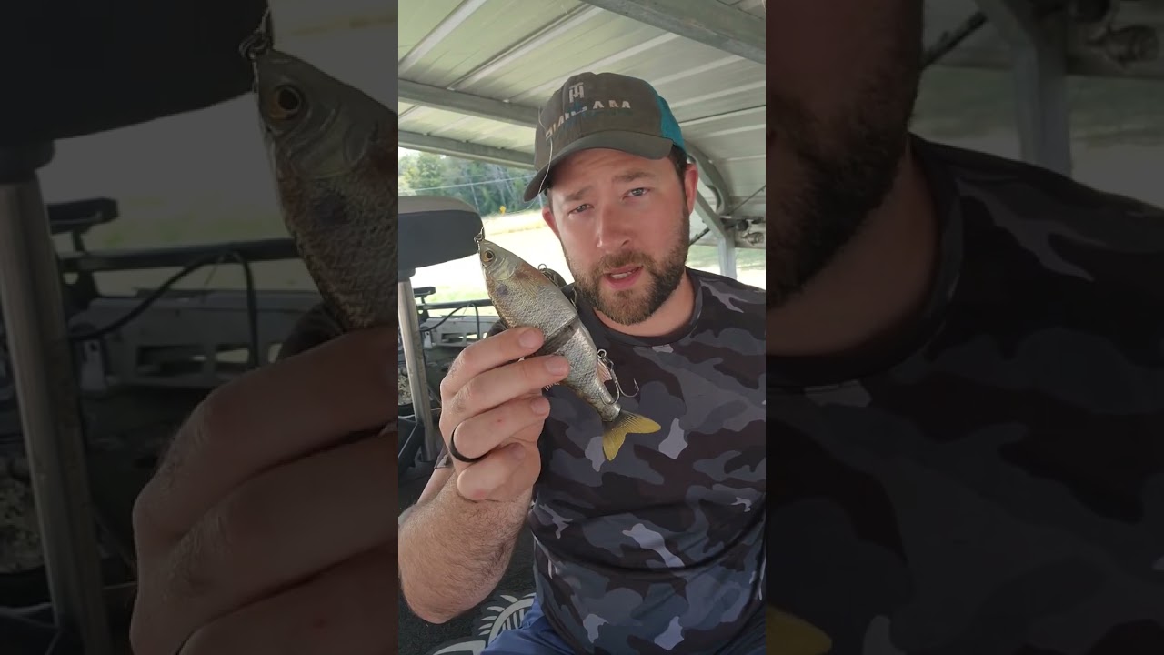 pro bass fishing secret!! secret bait! #bassfishing #fishing #fingerlakesny #thmarine #kandkkustomz