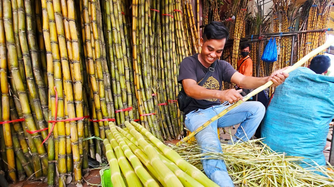 Skillful Cutting And Peeling Sugarcane| Cambodia Street Food