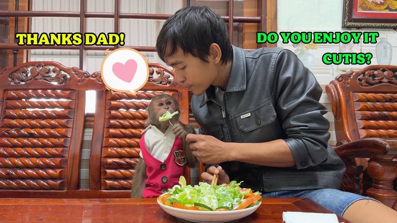 Happiest Cutis monkey! Lovely meal Dad prepared for Cutis in rainy days!