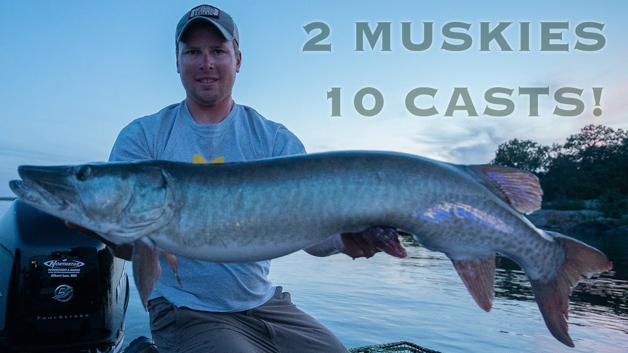 2 MUSKIES IN 10 CASTS (Guiding on LOTW)
