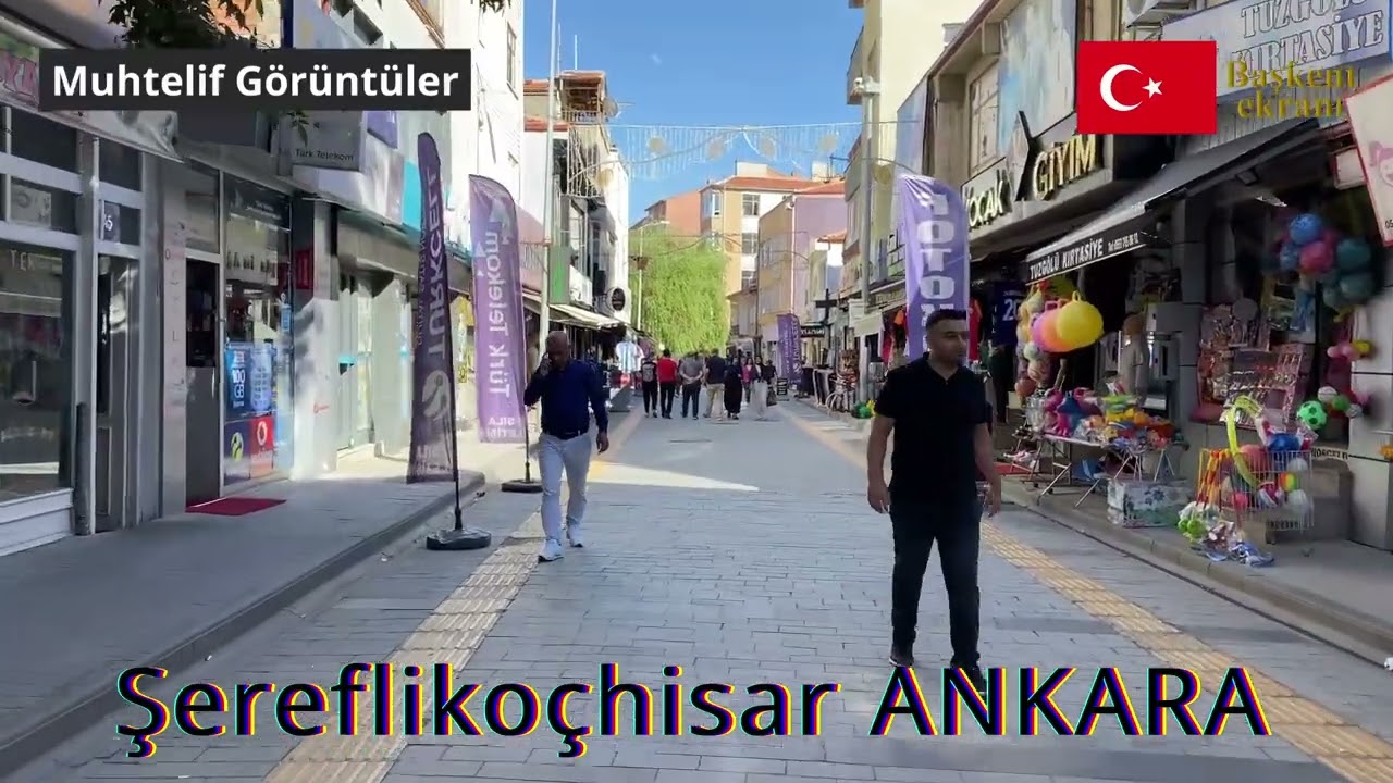 Şereflikoçhisar