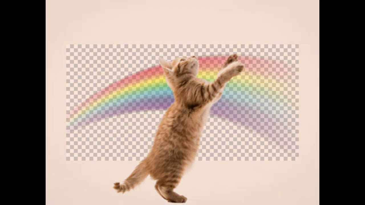KITTY! KITTY!! - SpedUp