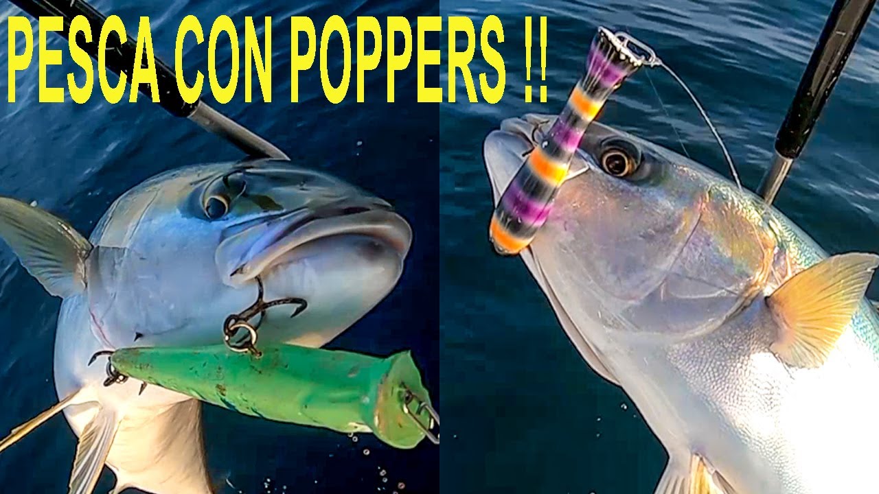 Pesca con POPPER en Mar - equipo ligero