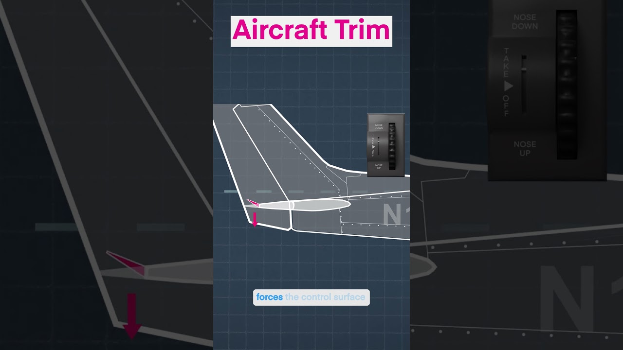 How Does Trim Work?