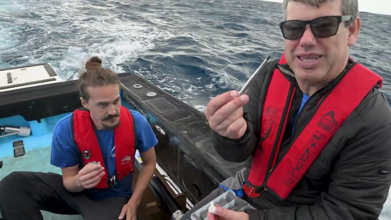 Proyecto SIRENA: Ciencia y tecnología para proteger la acuicultura en Canarias