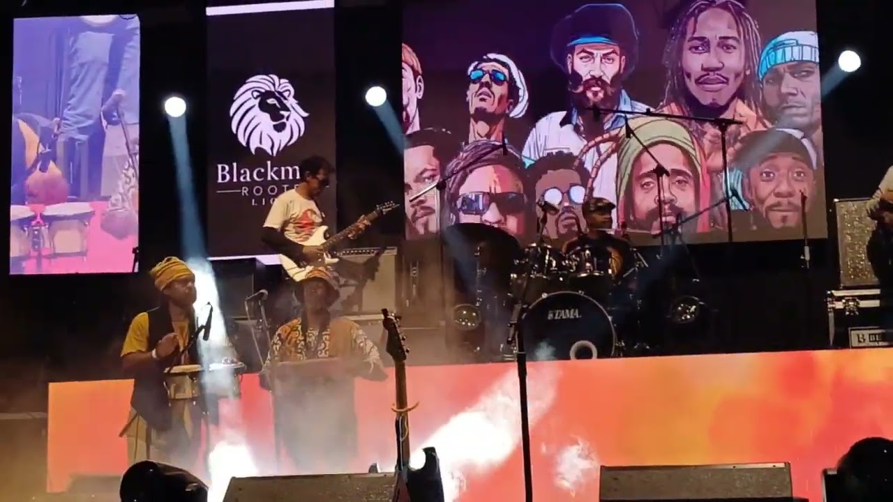 Concert Roots Lion Fianar Reggae Festival 2025