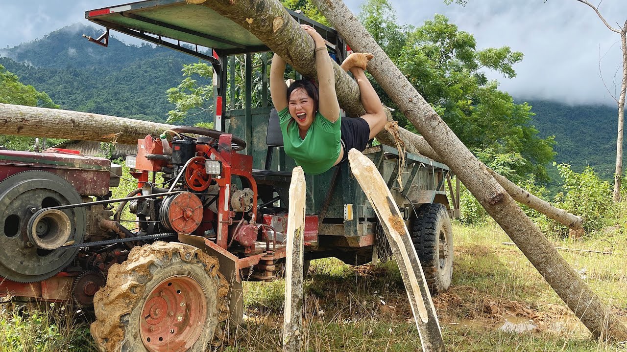 Agricultural vehicles transporting timber, cutting and stacking timber alone is extremely difficult