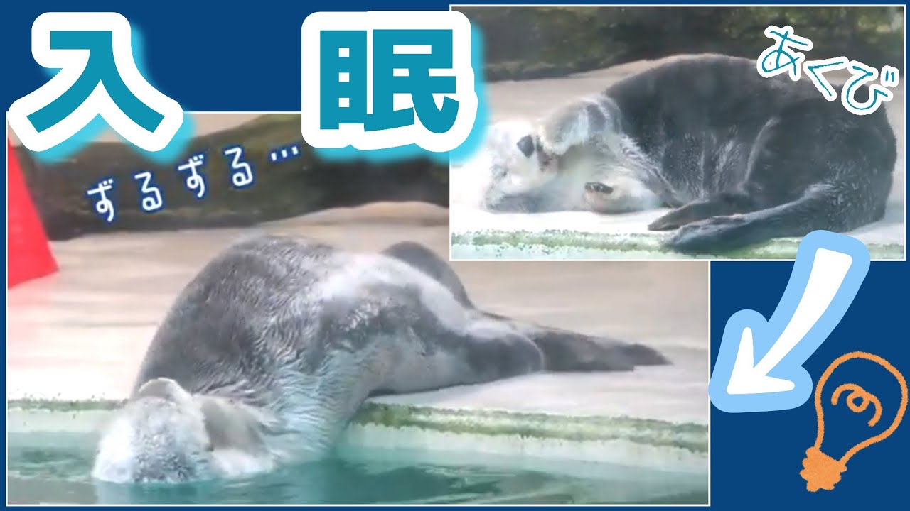 メイちゃん寝が完成するまで