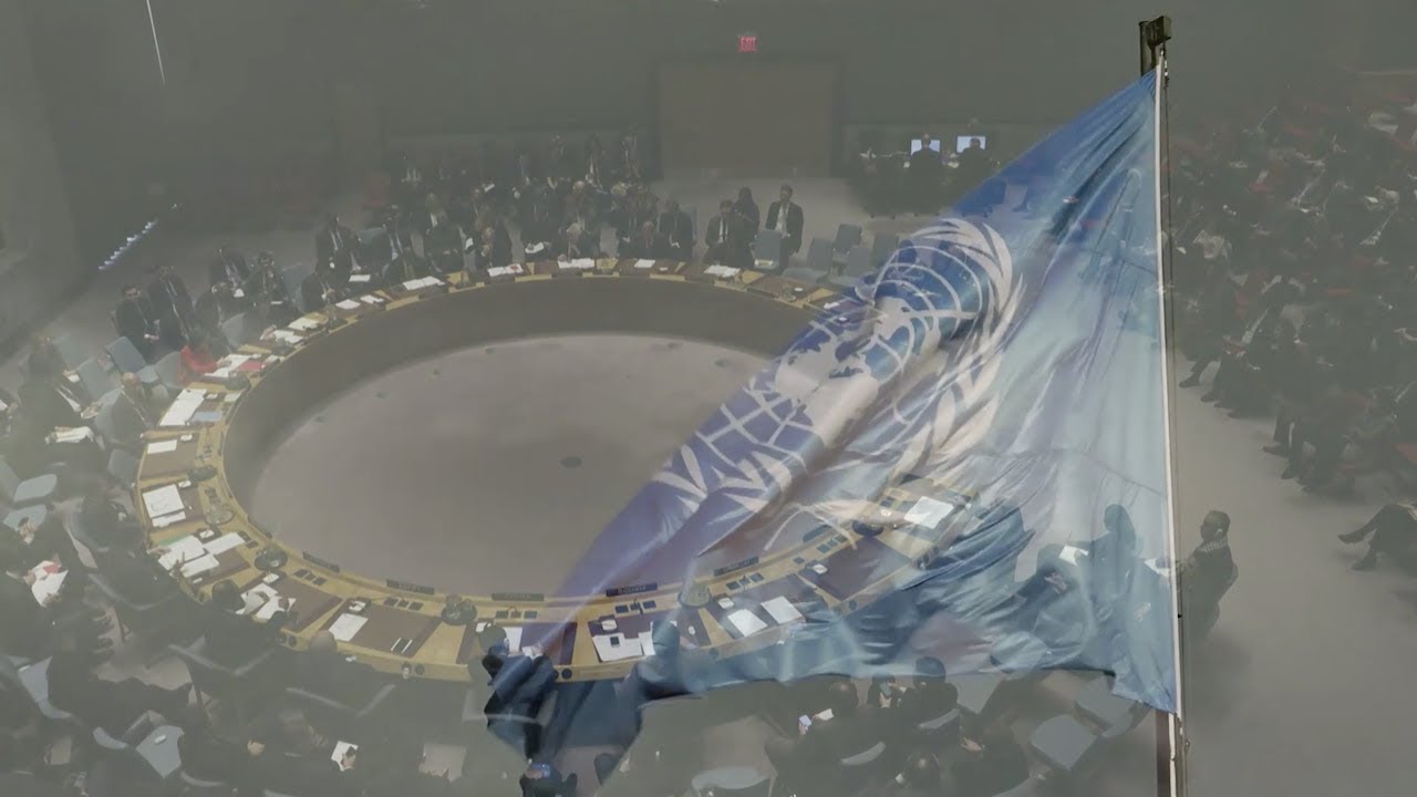 The UN Security Council has lost its legitimacy