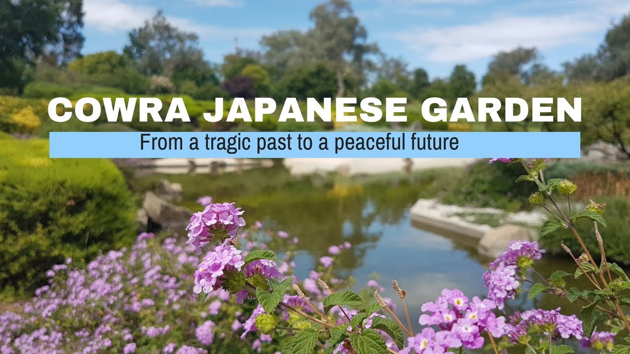 Cowra Japanese garden
