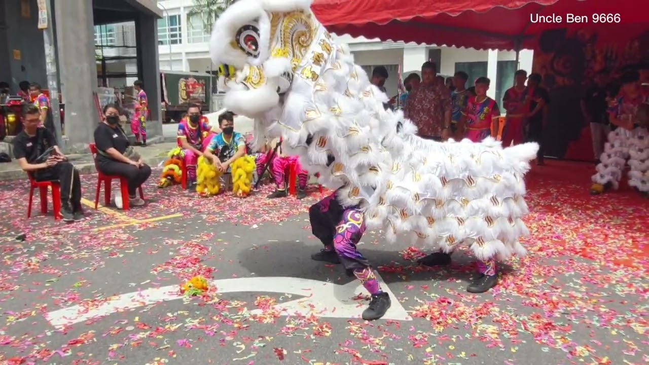 2023 Xuan Long Subang Grand Establishment Ceremony Traditional Lion Dance Performance #成立盛典