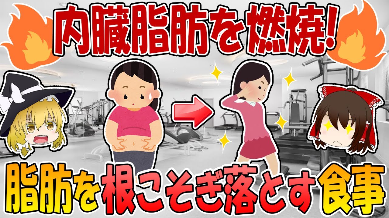 40代！今度こそ内臓脂肪を根こそぎ落とす食事！【ゆっくり解説】