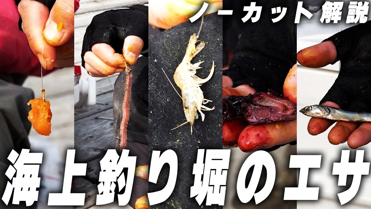 【超重要】海上釣り堀のエサについて【ノーカット解説】