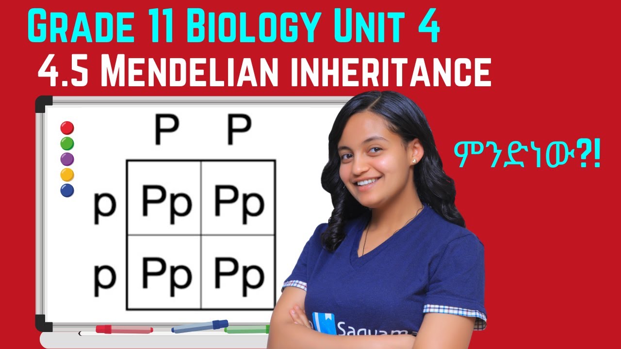 Grade 11 Biology Unit 4: 4.5 Mendelian inheritance (Part 1) | Saquama